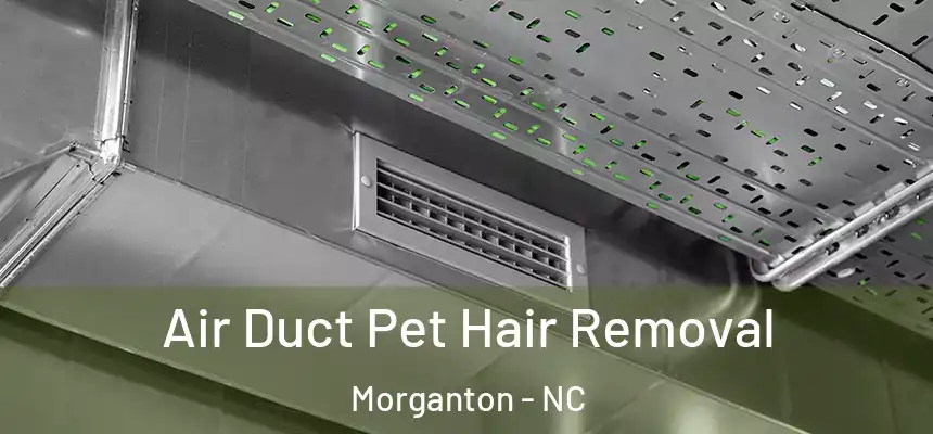  Air Duct Pet Hair Removal Morganton - NC
