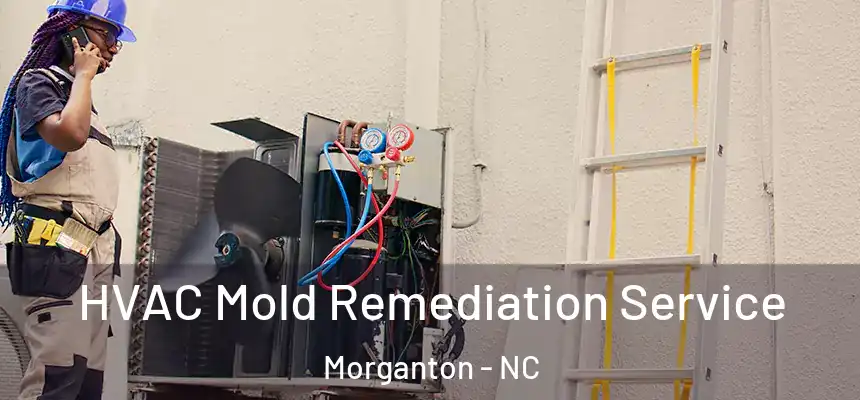 HVAC Mold Remediation Service Morganton - NC