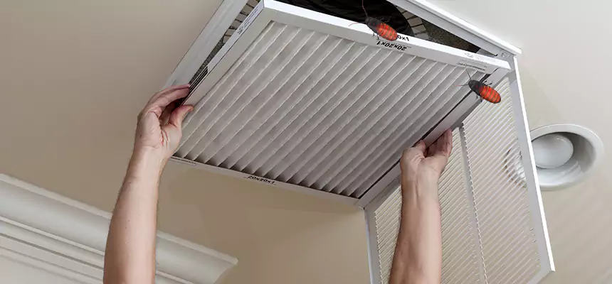 Preventive Cockroach-Proofing for Ducts in Morganton