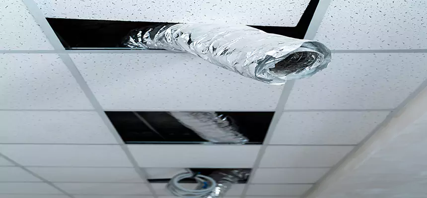 Our Air Duct Pet Hair Removal Services in Morganton, NC