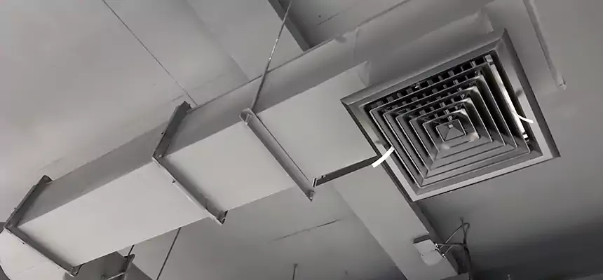 Our Pest Removal From Ducts Services in Morganton, NC