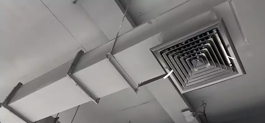 Our Rodent Droppings In Vents Services in Morganton, NC