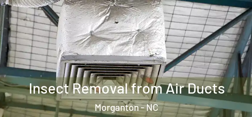  Insect Removal from Air Ducts Morganton - NC