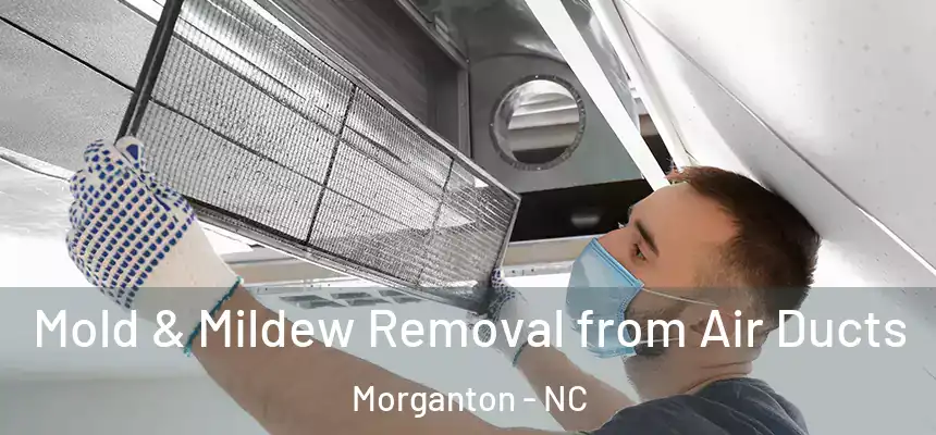  Mold & Mildew Removal from Air Ducts Morganton - NC