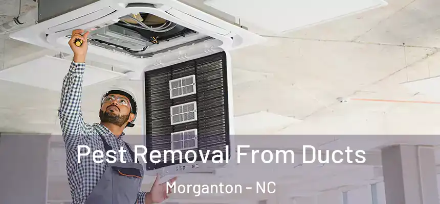  Pest Removal From Ducts Morganton - NC