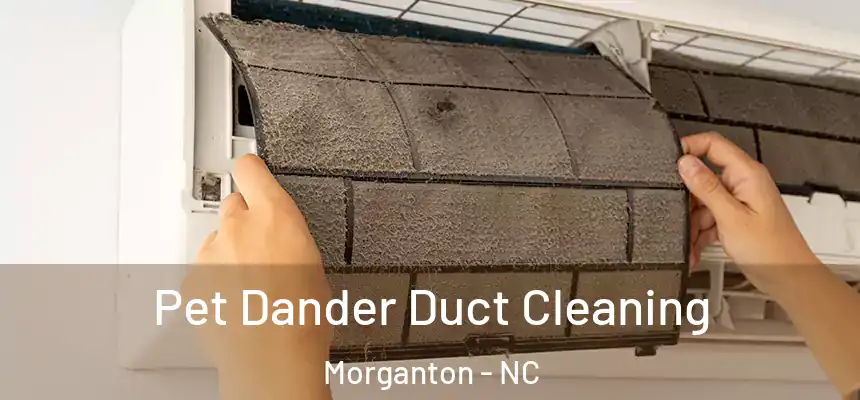 Pet Dander Duct Cleaning Morganton - NC