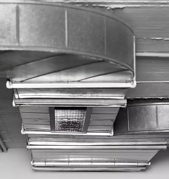 Professional Air Duct Pest Removal in Morganton, NC