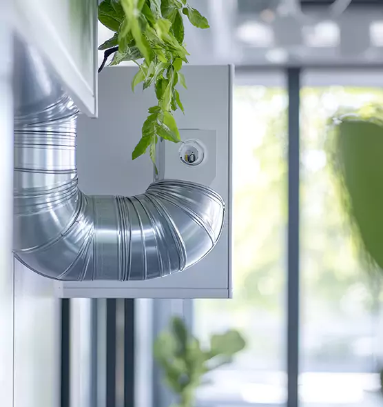 Professional Eco-Safe Dryer Vent Cleaning in Morganton, NC