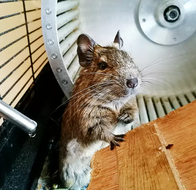 Why Homeowners & Businesses Trust Us Morganton, NC