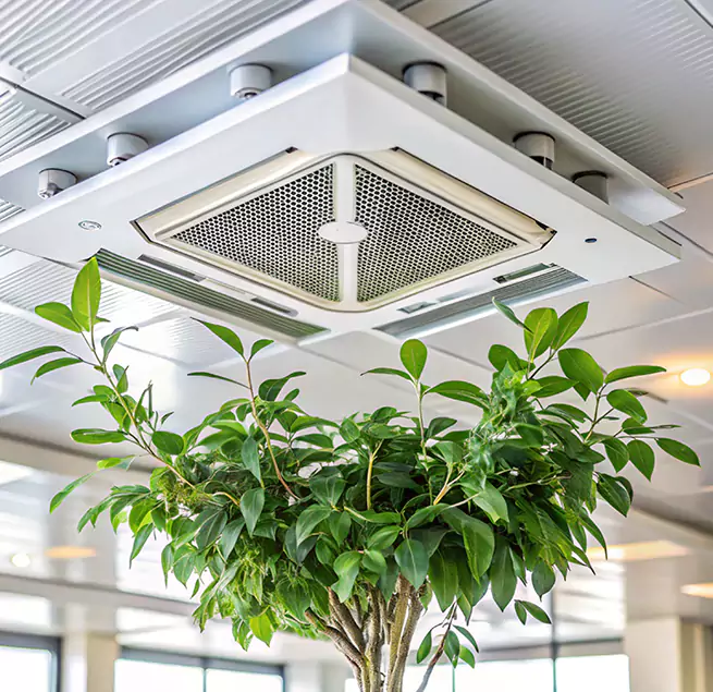 Why Homeowners & Businesses Trust Us in Morganton, NC